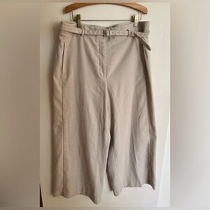 Ann Taylor Light Beige Belted Trousers